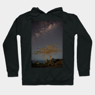 The One Tree at One Tree Hill Hoodie